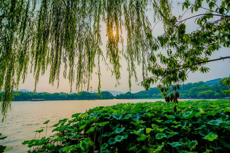 Hangzhou